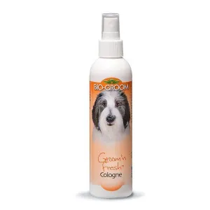 Bio-Groom Groom 'n Fresh Cologne for Dogs 8oz