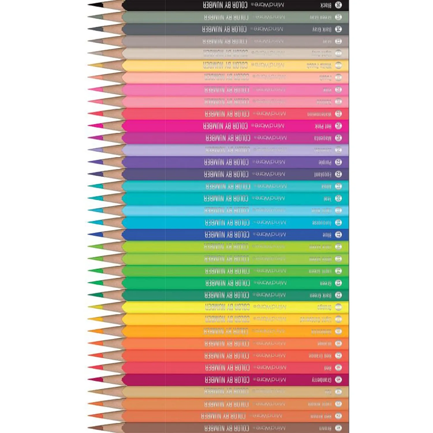 Color By Number Colored Pencil Set 36